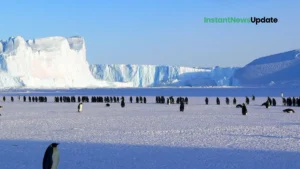 New Linguistic Discovery: Emerging "Antarctica Accent" Among Researchers