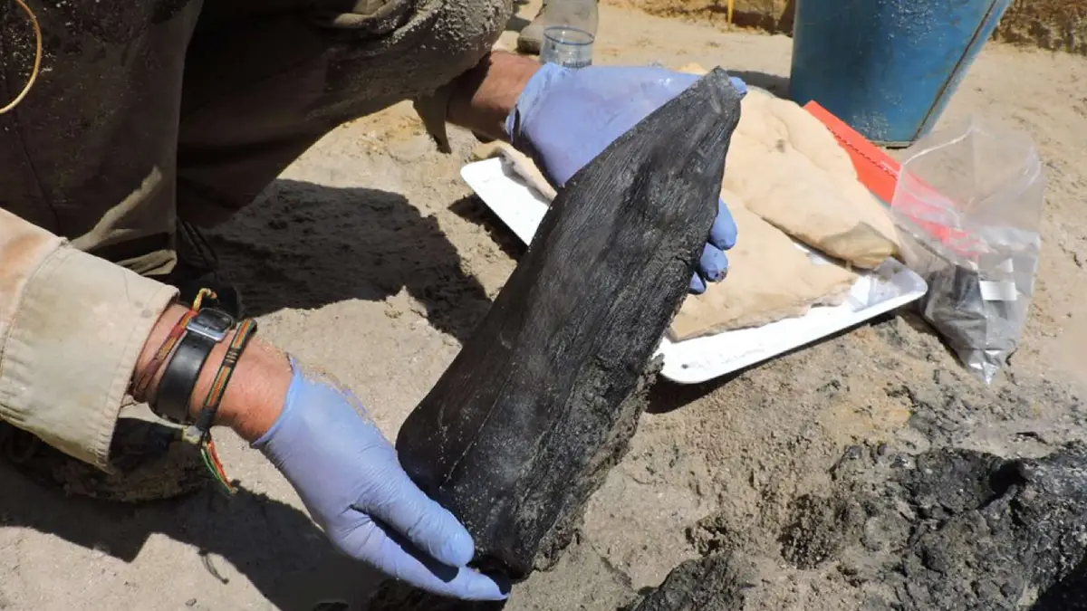 Evidence of Wooden Structures Built by Stone Age Humans Unearthed